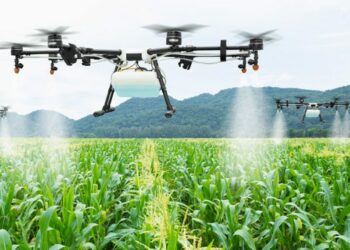 Penggunaan drone untuk menyiram tanaman jagung