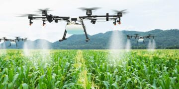 Penggunaan drone untuk menyiram tanaman jagung