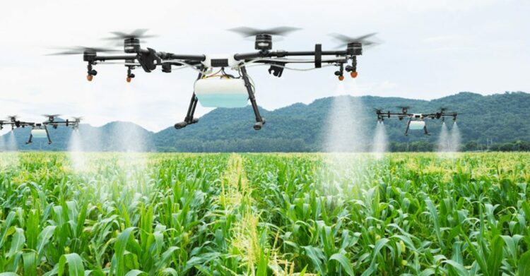 Penggunaan drone untuk menyiram tanaman jagung